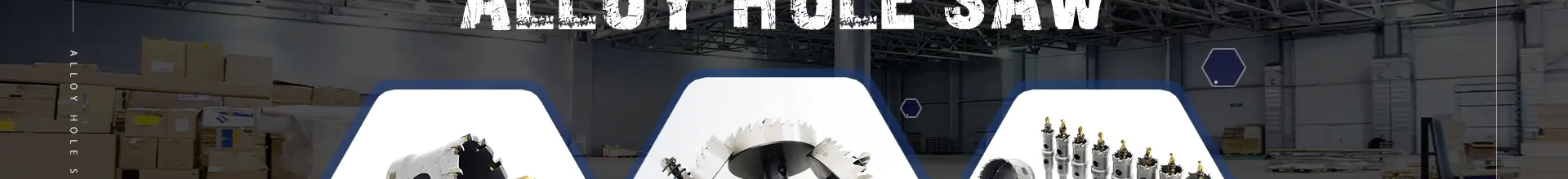 Bit For Hole Saw